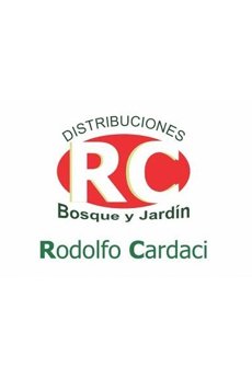 http://sanignaciorugby.com/wp-content/uploads/2017/07/sdds-1.jpg